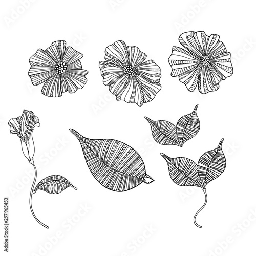Vector illustration with a set of abstract poppy flowers with leaves on a white background. Can be used to create compositions for wedding invitations, to create greeting cards and other decor.