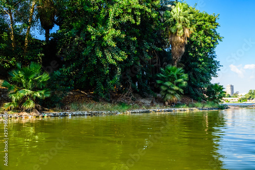 Bank of the Nile river in Cairo  Egypt