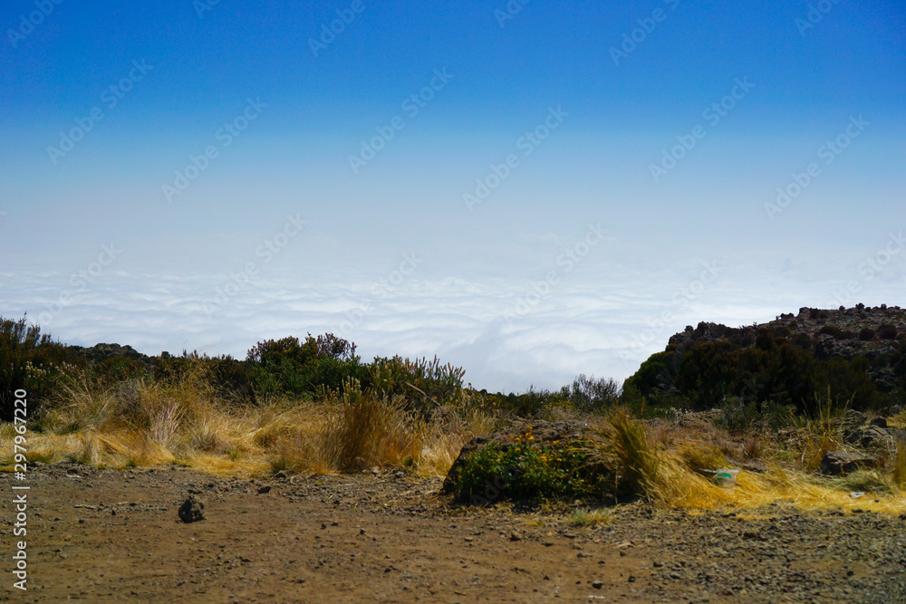 Fototapeta premium Morning mist, while the sun is rising Kilimanjaro Mountain in Tanzania background texture