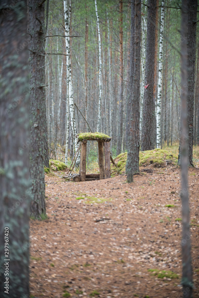 Shelter in battlefield in World War II in the forest Shelter in battlefield in World War II in the forest