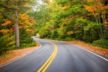 Winding road curves through scenic autumn foliage trees in New England.