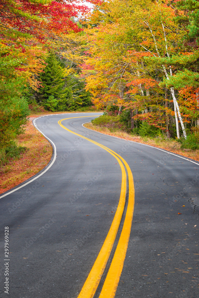 Winding road curves through scenic autumn foliage trees in New England. Winding road curves through scenic autumn foliage trees in New England.