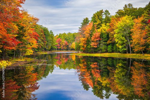 Colorful foliage tree reflections in calm pond water on a beautiful autumn day in New England