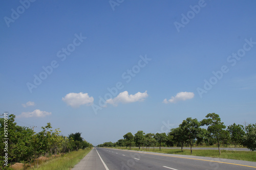 roadside trees see the blue sky, white clouds