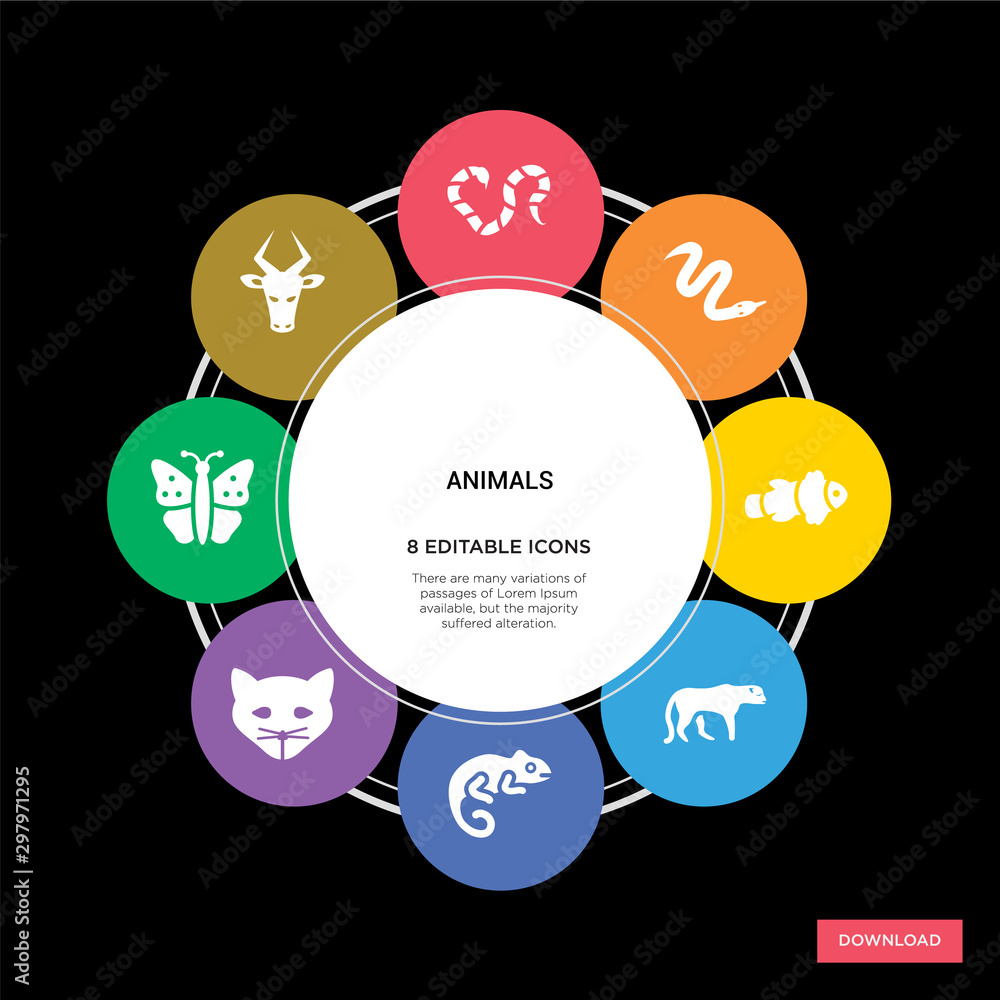 Fotografie 8 animals concept icons infographic design