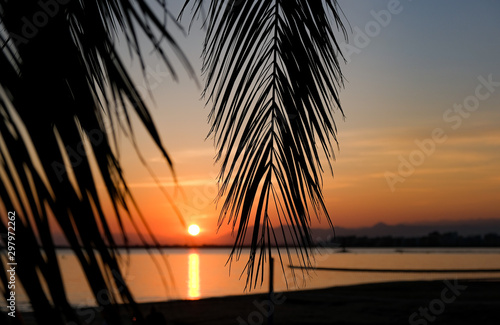 Amazing beautiful summer golden sunset over the bay of Roses, Catalunya, Spain. Palm branches and leaves on calm sea and the evening sky background. Colorful dramatic golden sunset through palm leaves © Olga