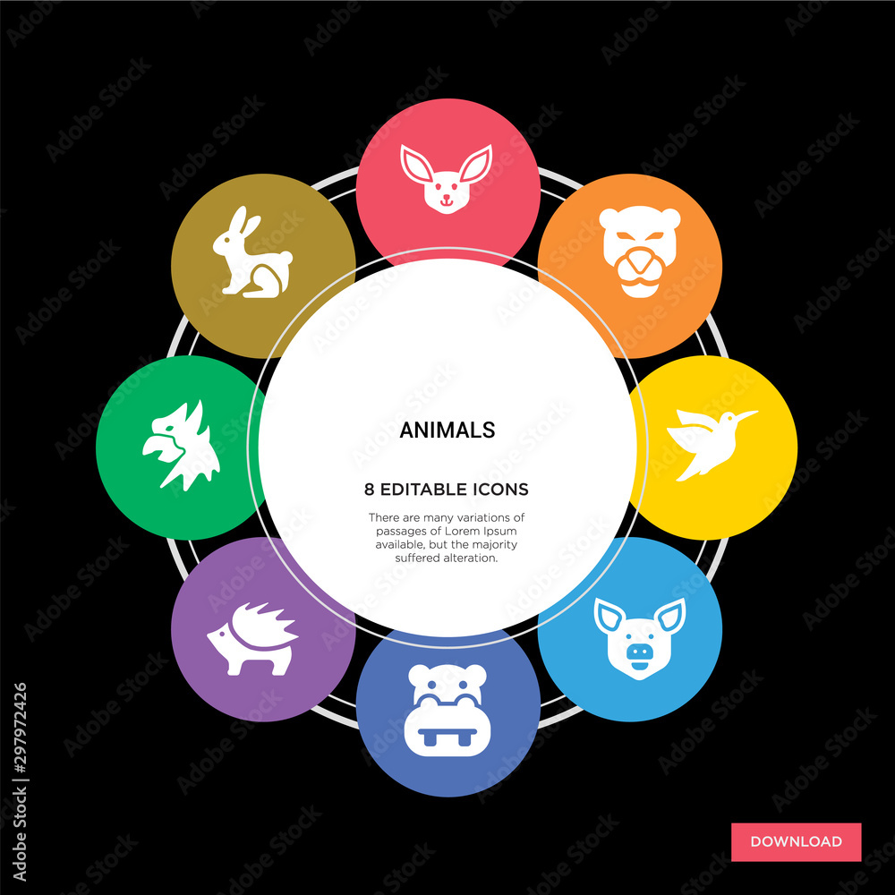 8 animals concept icons infographic design. animals concept infographic design on black background