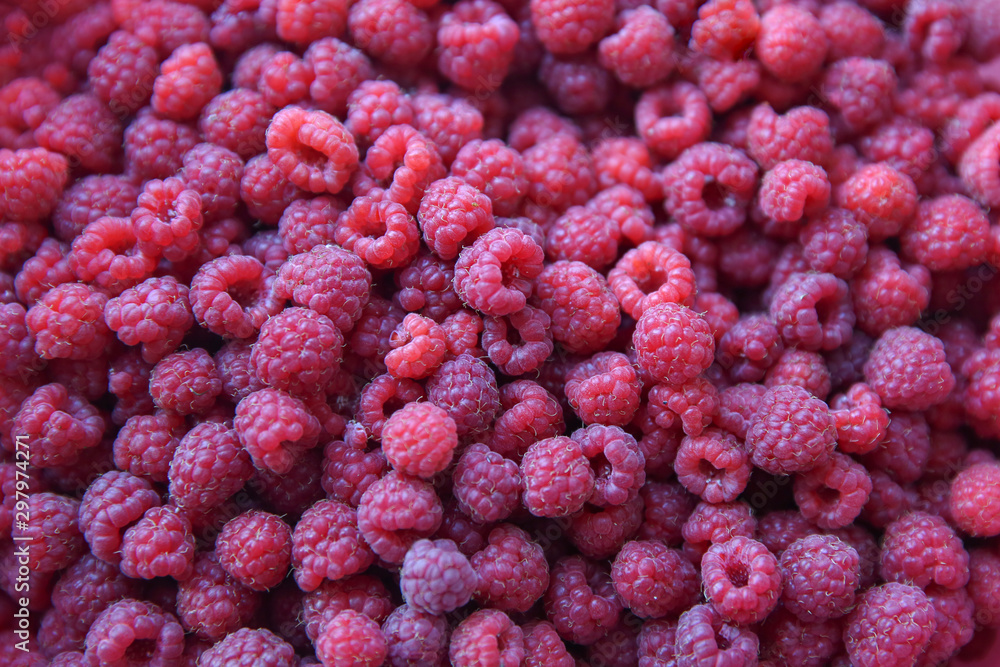 Raspberry berries in a bucket. Top view. Raspberry berries in a bucket. Top view.