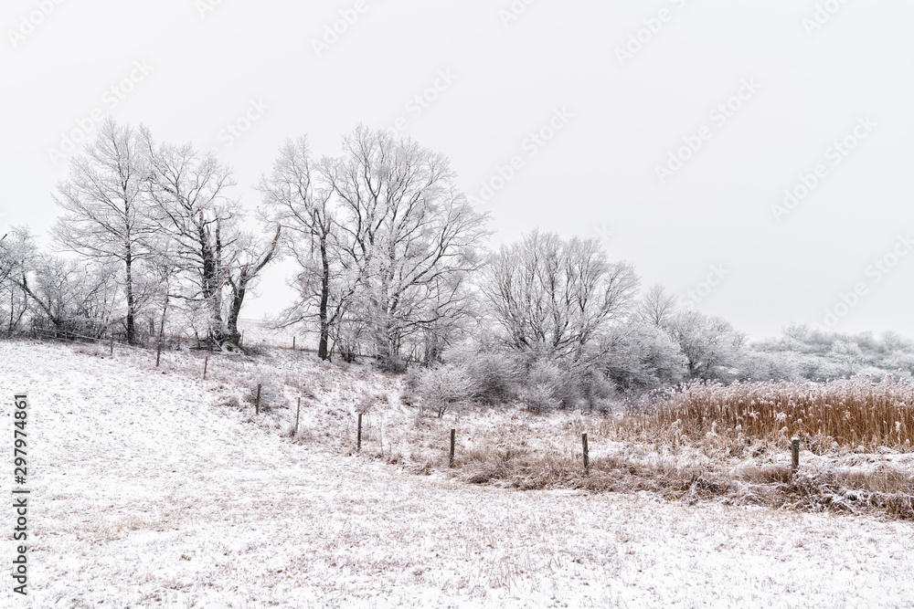 winter landscape with trees and fence winter landscape with trees and fence