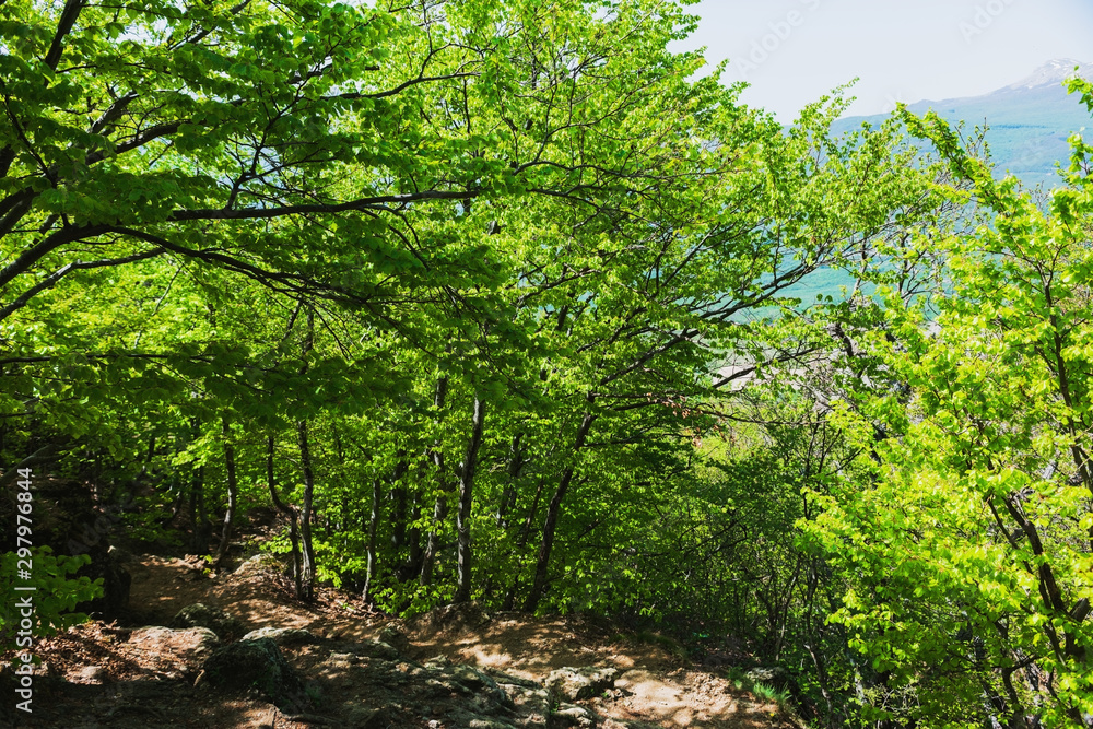 Hiking pathway- journey through roads, mystical nature Hiking pathway- journey through roads, mystical nature
