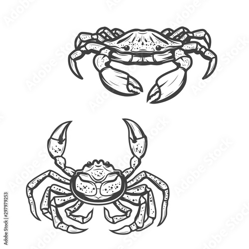 Blue and opilio crab animal