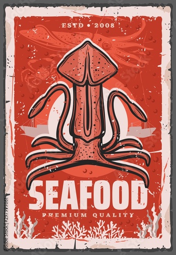 Underwater squid animal, seafood cover
