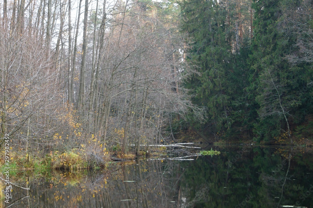 Gold autumn forest and lake Gold autumn forest and lake
