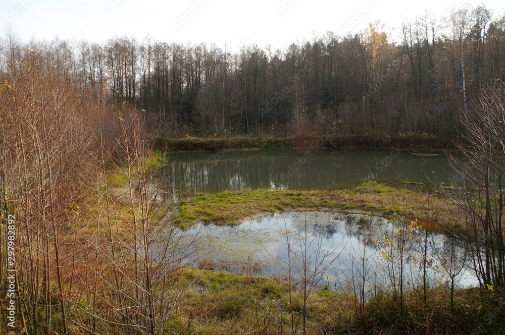 Gold autumn forest and lake