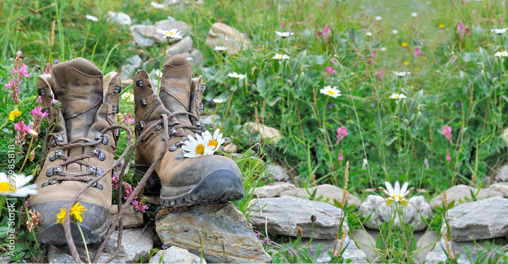 Obraz premium old hiking shoes put on stone in grass and alpine flowers