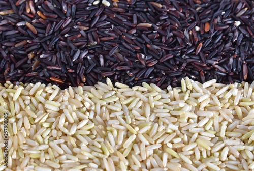 Organic rice, texture for background
