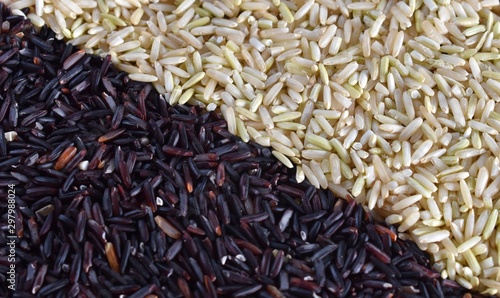 Organic rice, texture for background