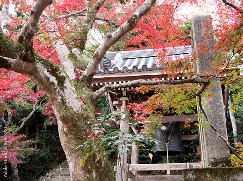 Japan Kyoto old town Nisonin temple photo