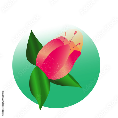 Pink Flower vector logo in a round frame. Element for beauty and spa, logotype, sign, web icon