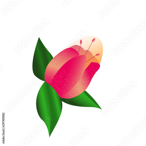 Pink Flower vector logo design. Element for beauty and spa, logotype, sign, web icon