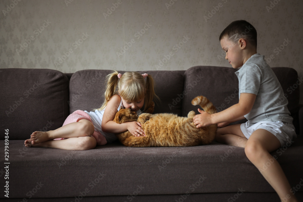 Caucasian siblings with fat red cat on the couch Caucasian siblings with fat red cat on the couch