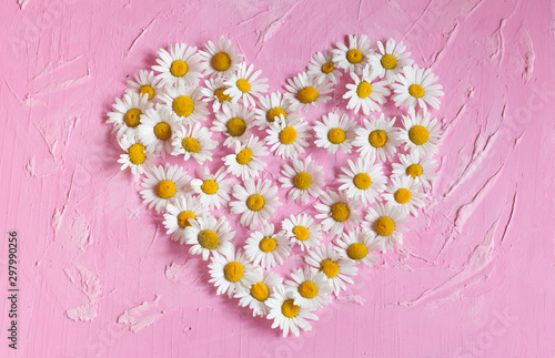 Daisy flowers in heart shape on pink painted wooden board