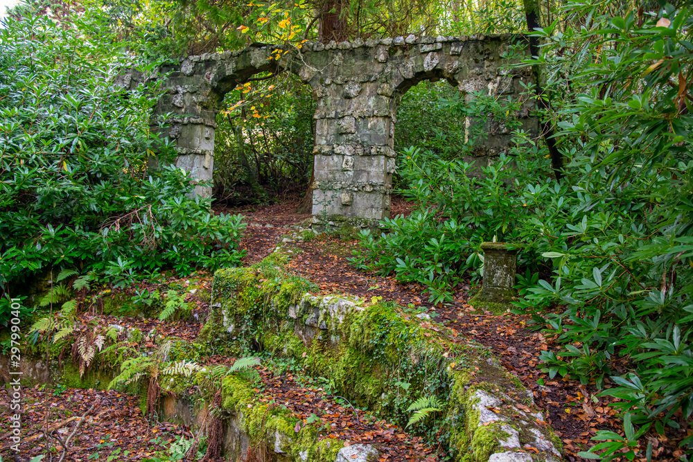 Ruined walls in a woodland clearing