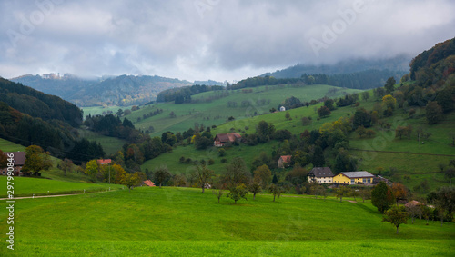 Nebeliger Herbsttag im schwarzwald nahe Freiamt