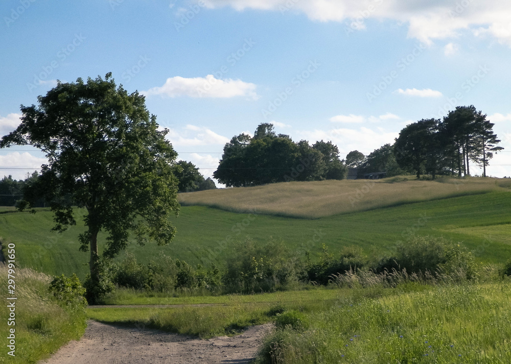Country landscape, typical Polish nature. Country landscape, typical Polish nature.