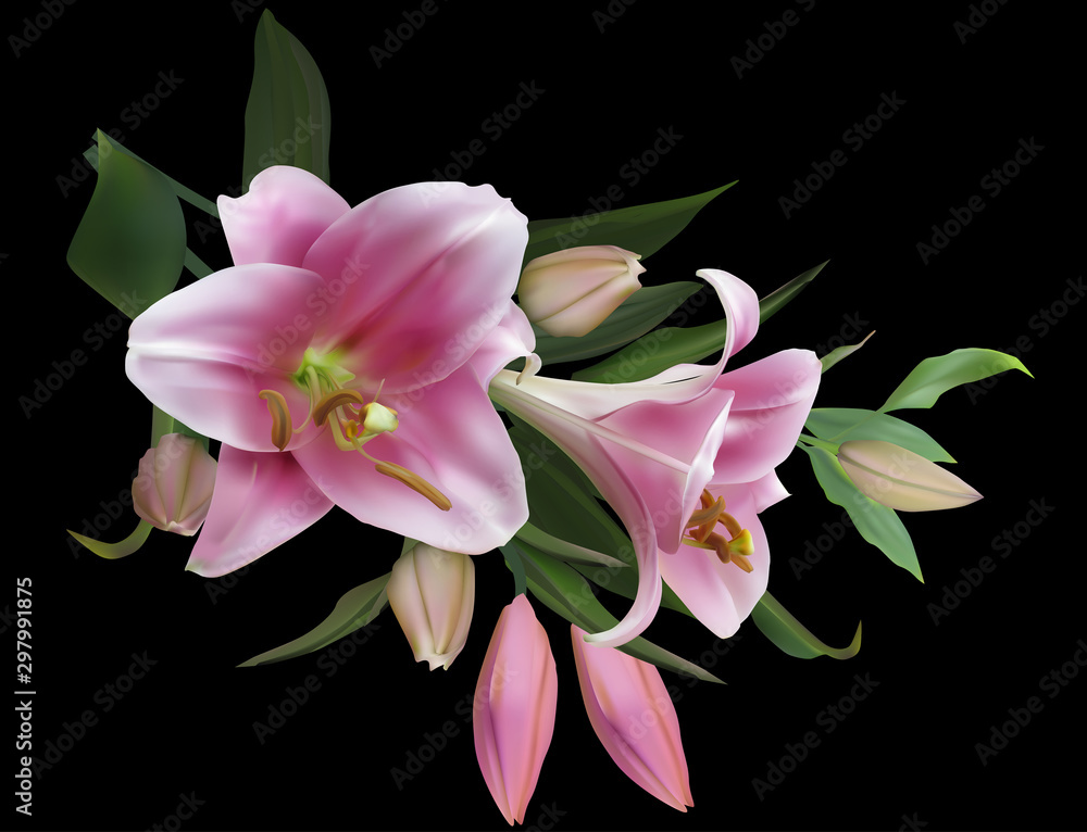 Naklejka premium isolated on black light pink lily flowers bunch