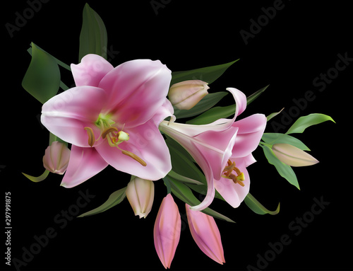isolated on black light pink lily flowers bunch