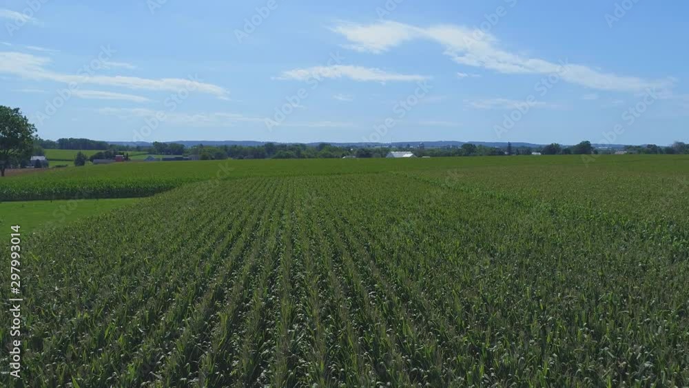 An Aerial Close Up View of Amish Farmlands and Countryside with Corn Fields on a Sunny Summer Day An Aerial Close Up View of Amish Farmlands and Countryside with Corn Fields on a Sunny Summer Day