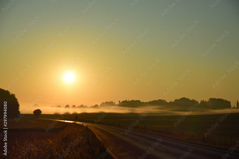 Scenic shot of a road leading into the morning mist in a landscape at sunrise