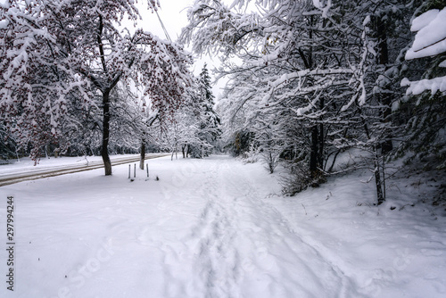 snow-covered city Park with paths in the snow among the trees