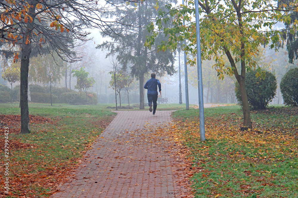 Obraz premium bright autumn colors in the morning park