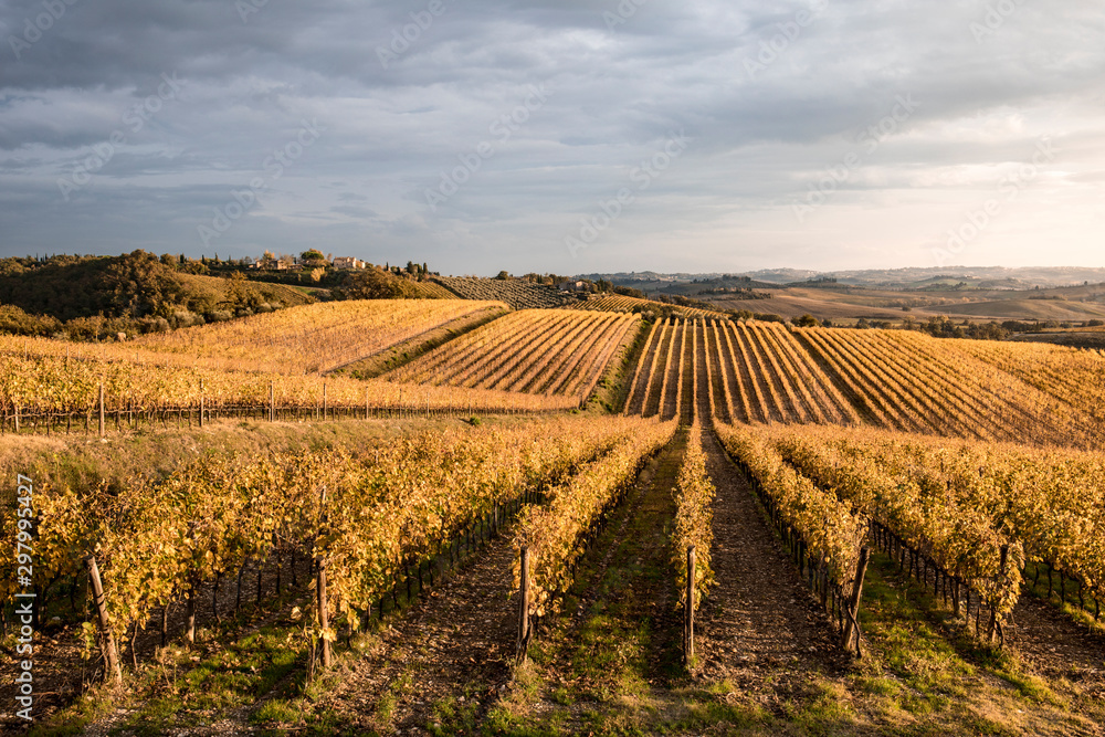 Chianti region in Florence Province, Tuscany, Italy Chianti region in Florence Province, Tuscany, Italy