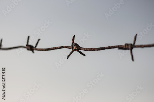 Wallpaper Mural barbed wire on a sky background Torontodigital.ca
