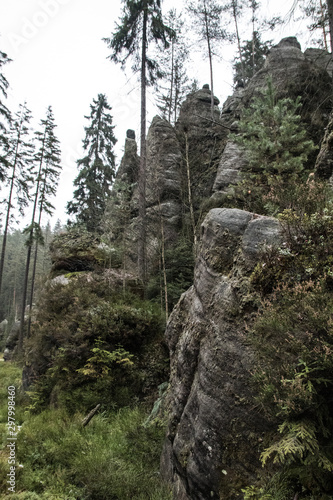 Aderspach-Teplice Rocks, deep wild forest 