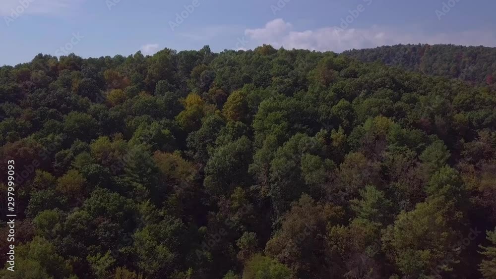 Aerial Fly Over Hilly Forest of Treetops Aerial Fly Over Hilly Forest of Treetops