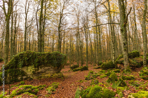 Autumn landscape in the mountain range of Urbasa. Navarra, Spain
