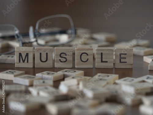 The concept of muscle represented by wooden letter tiles photo