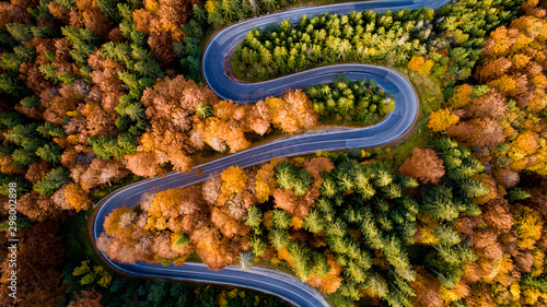 Aerial view of forest road in beautiful autumn .at sunset. Serpentine asphalt road details with colourful landscape with empty road and yellow trees © aboutmomentsimages
