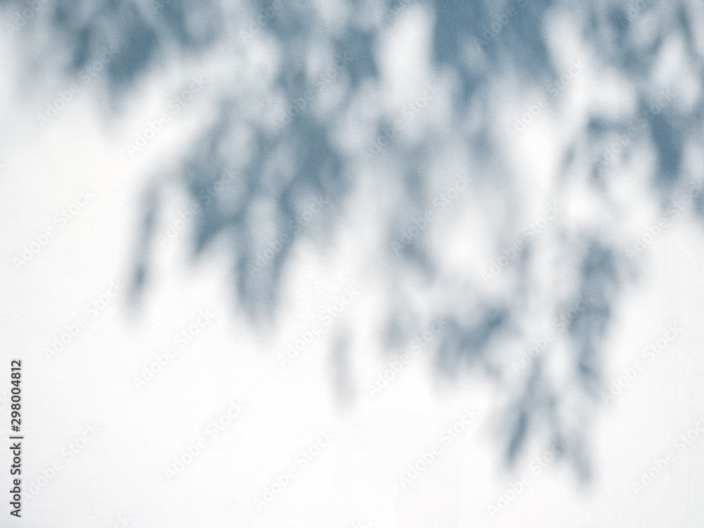 Tree background shadow on a white wall Tree background shadow on a white wall