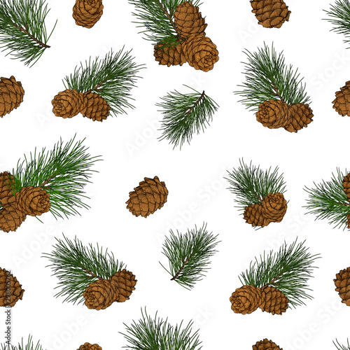 Cedar branch with cones seamless pattern. Illustration in engraving technique. Isolated on white background.
