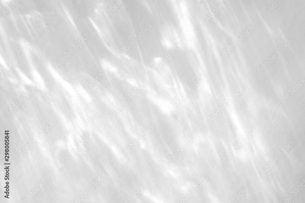 Fototapeta premium Organic drop shadow on a white wall