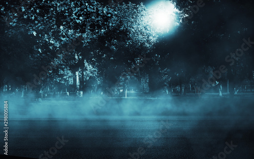 Fototapeta Naklejka Na Ścianę i Meble -  Empty dark background. Moonlight through the trees in the forest. Night view. Moonlight reflection on the pavement. Smoke, fog