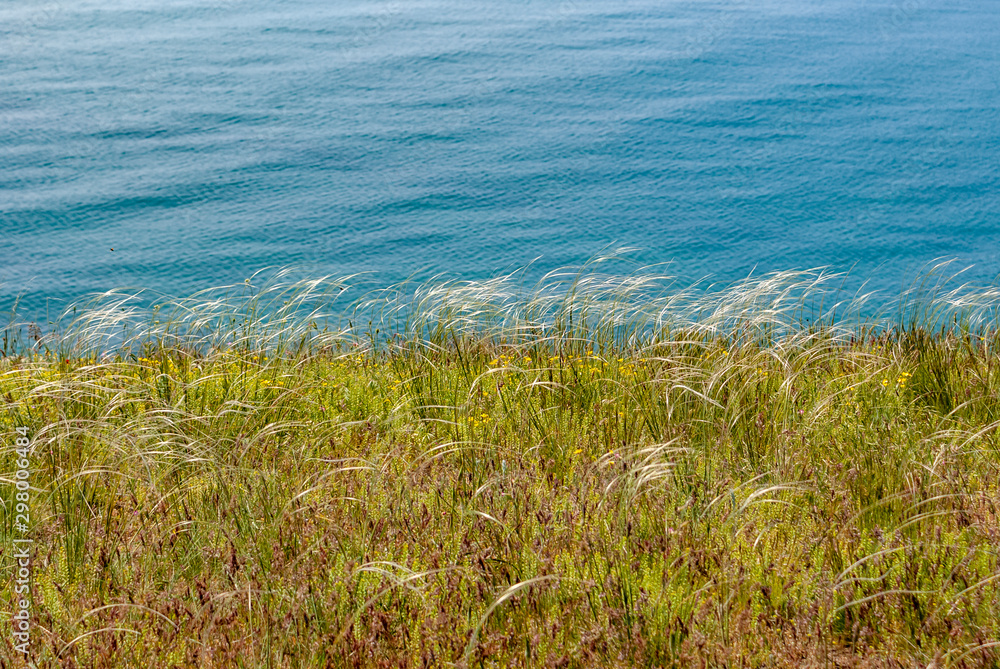 Crimean steppe. Spring. Crimean steppe. Spring.