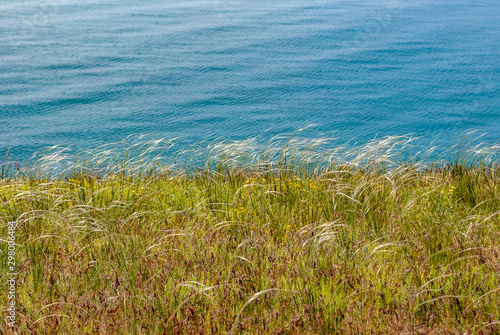 Crimean steppe. Spring.