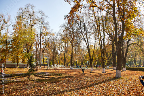 Autumn colors