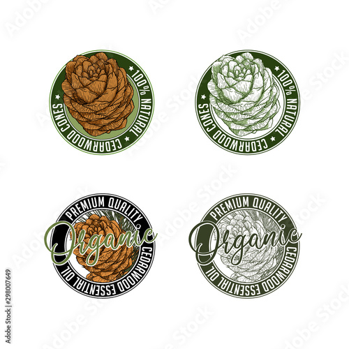 Cedarwood badge stamp label design set. Illustration of cedar cone with branch in engraving technique. Isolated on white background.